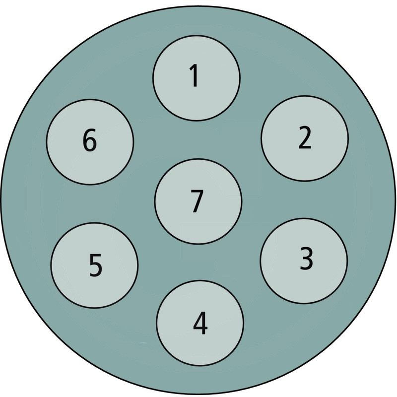 Hella Socket, without accessories | zdjęcie nr 2